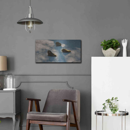 Luxe Metal Art  'Meditative Garden'  by Don Schwartz, Metal Wall Art,24x12