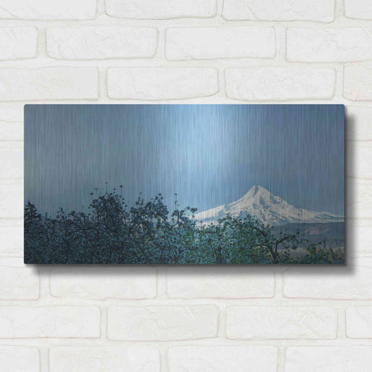 Luxe Metal Art  'Pear Blossom Morning'  by Don Schwartz, Metal Wall Art,24x12