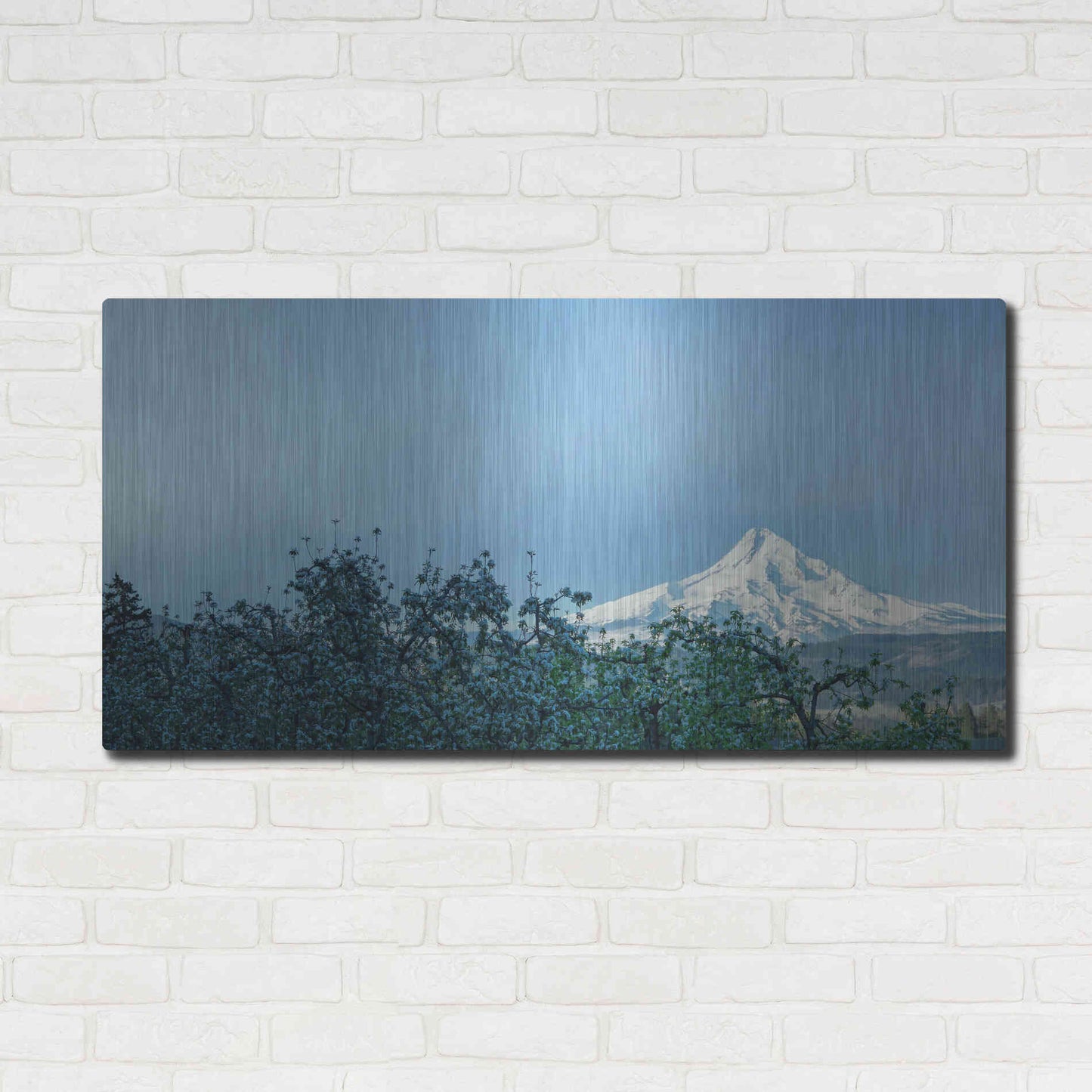 Luxe Metal Art  'Pear Blossom Morning'  by Don Schwartz, Metal Wall Art,48x24