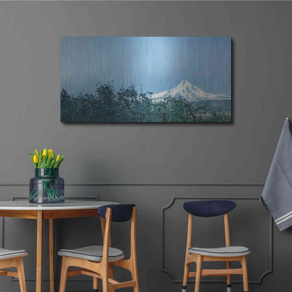 Luxe Metal Art  'Pear Blossom Morning'  by Don Schwartz, Metal Wall Art,48x24