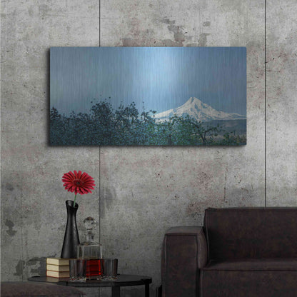 Luxe Metal Art  'Pear Blossom Morning'  by Don Schwartz, Metal Wall Art,48x24