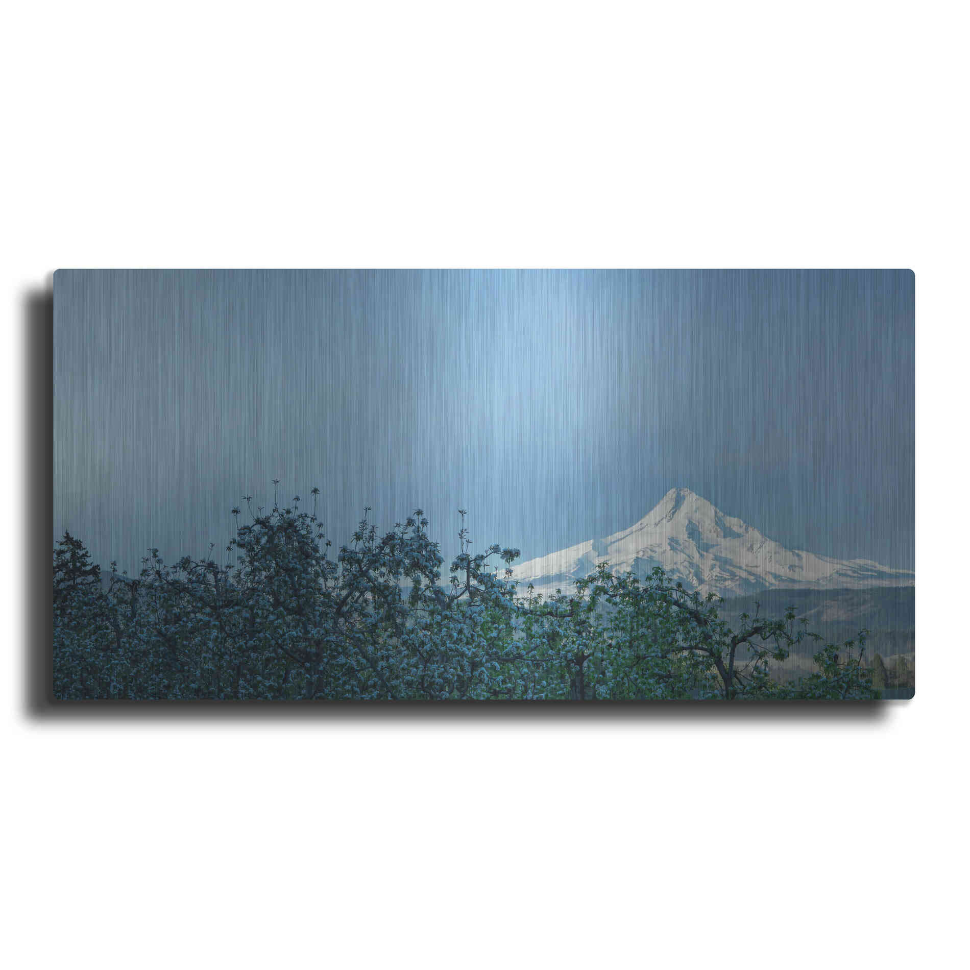 Luxe Metal Art  'Pear Blossom Morning'  by Don Schwartz, Metal Wall Art