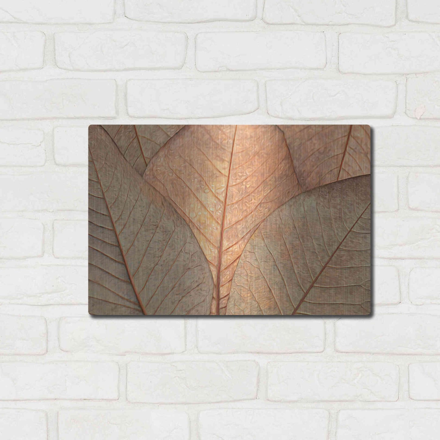 Luxe Metal Art  'Fallen Leaves'  by Don Schwartz, Metal Wall Art,16x12