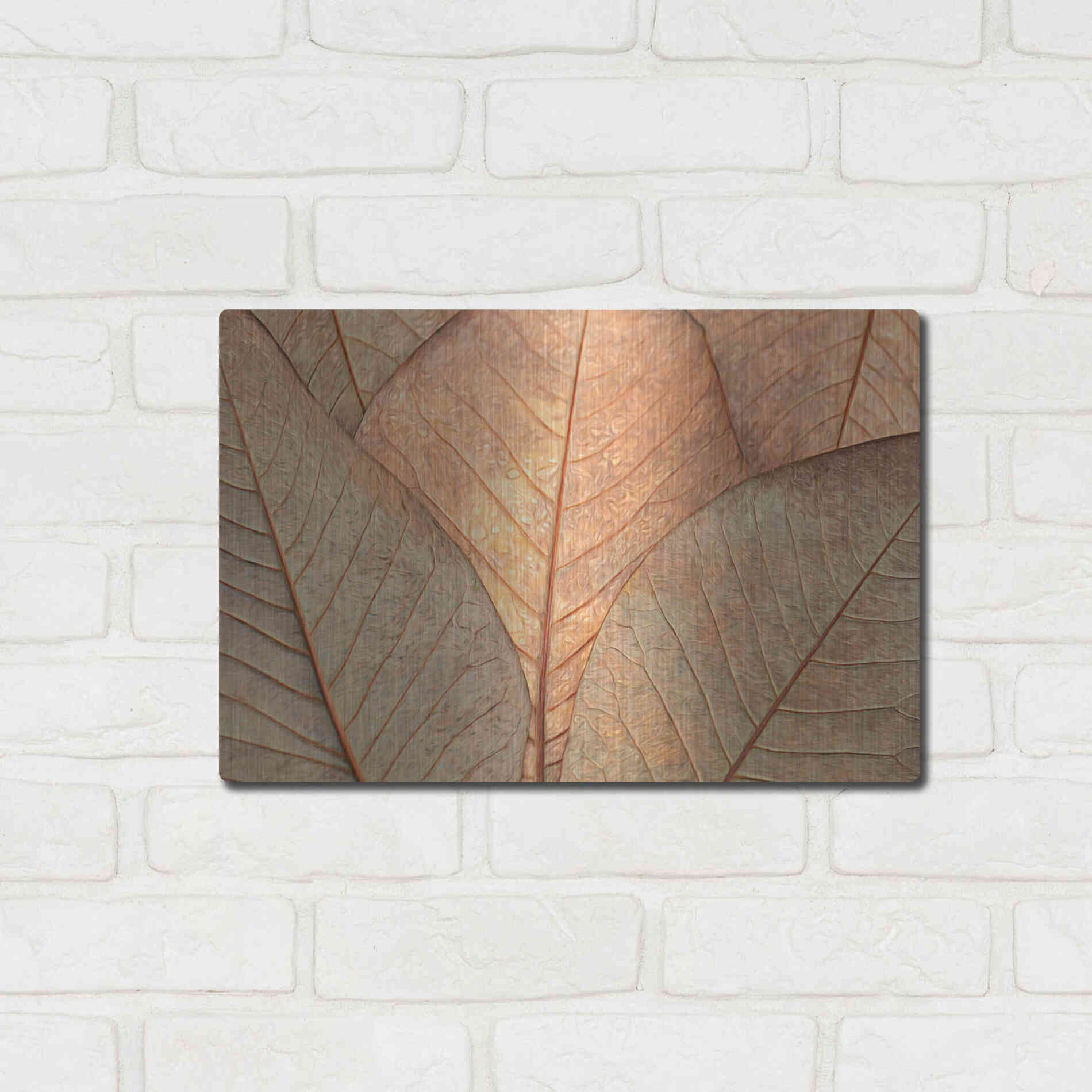 Luxe Metal Art  'Fallen Leaves'  by Don Schwartz, Metal Wall Art,16x12