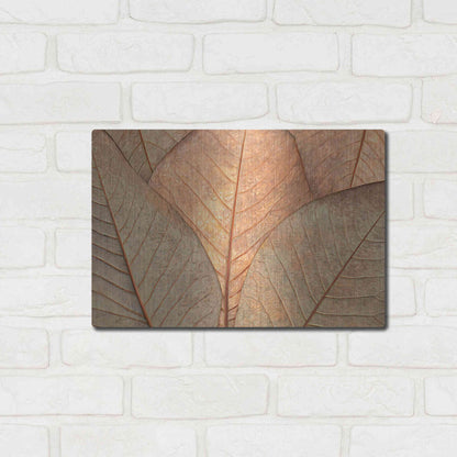 Luxe Metal Art  'Fallen Leaves'  by Don Schwartz, Metal Wall Art,16x12