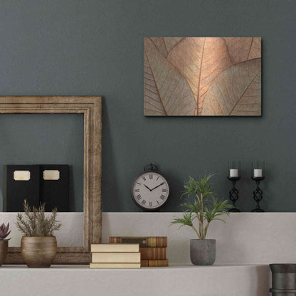 Luxe Metal Art  'Fallen Leaves'  by Don Schwartz, Metal Wall Art,16x12