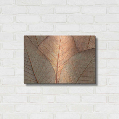 Luxe Metal Art  'Fallen Leaves'  by Don Schwartz, Metal Wall Art,24x16