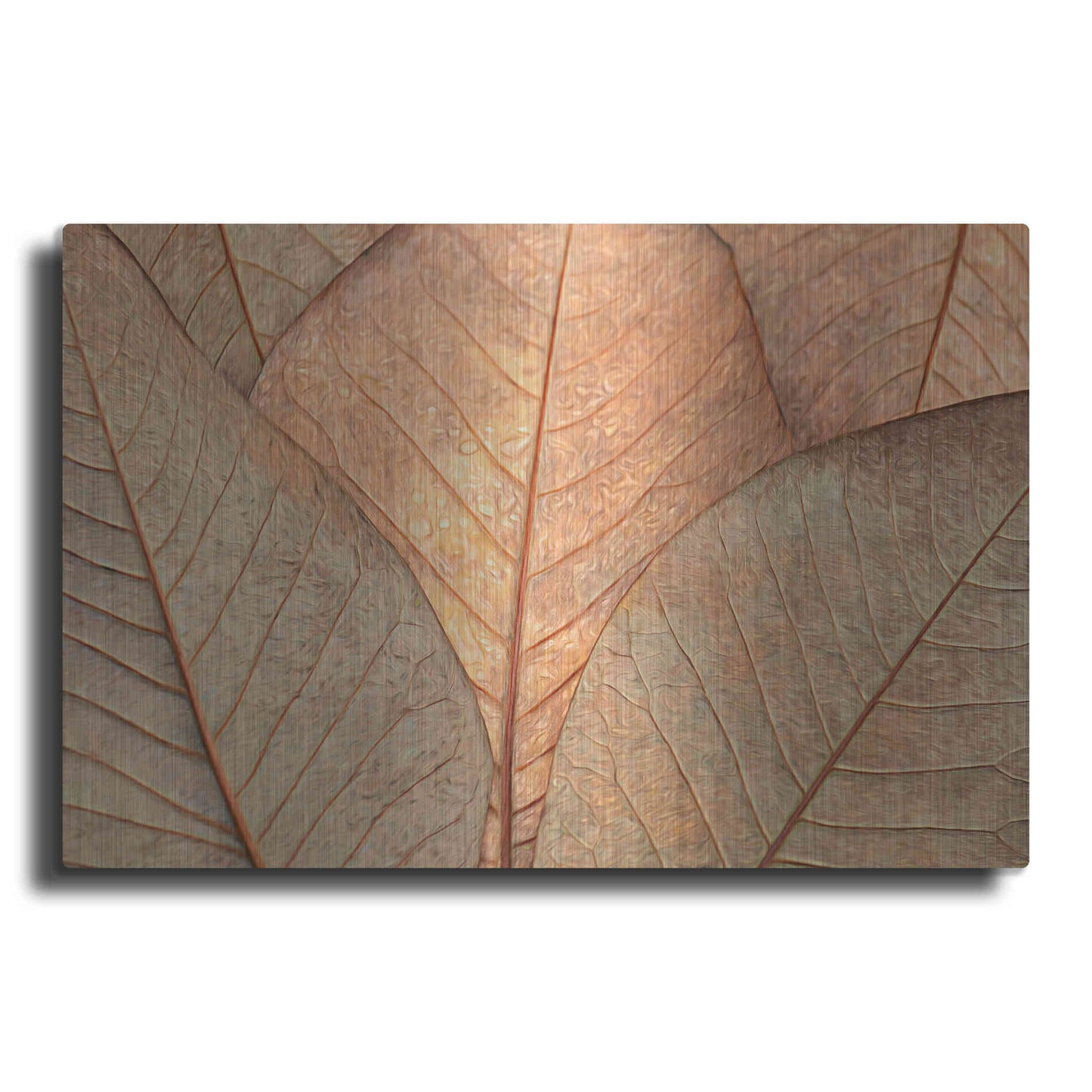 Luxe Metal Art  'Fallen Leaves'  by Don Schwartz, Metal Wall Art