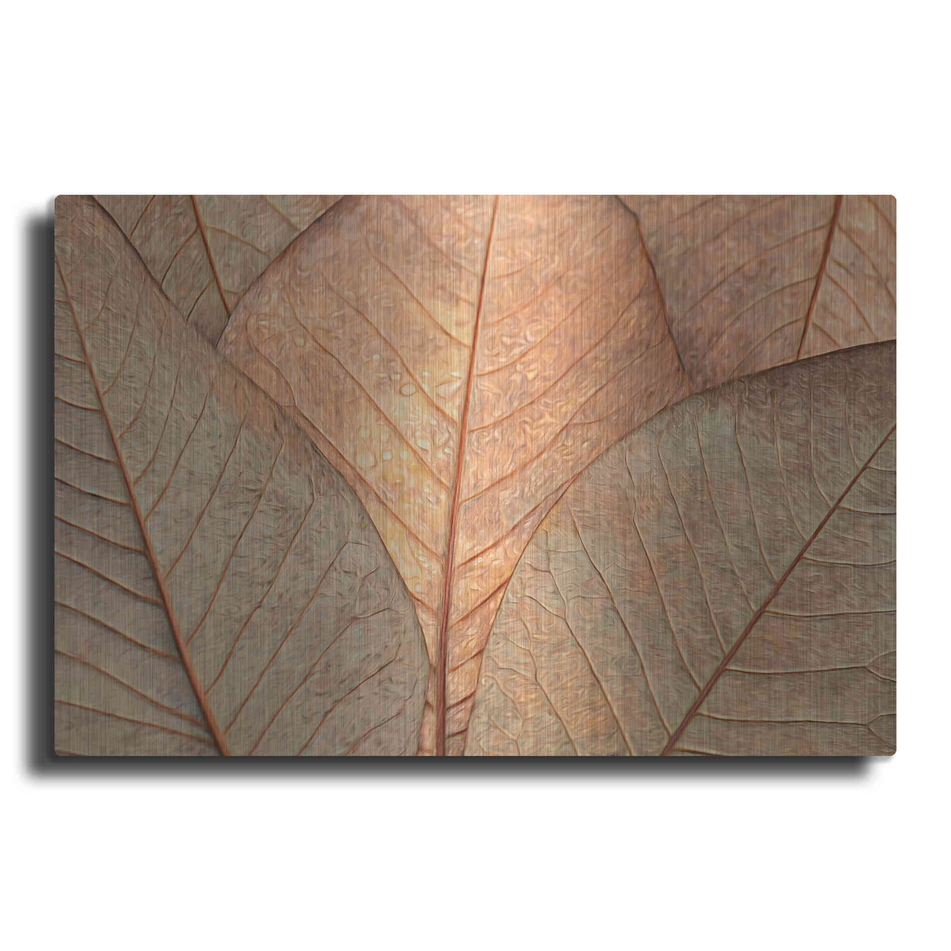 Luxe Metal Art  'Fallen Leaves'  by Don Schwartz, Metal Wall Art