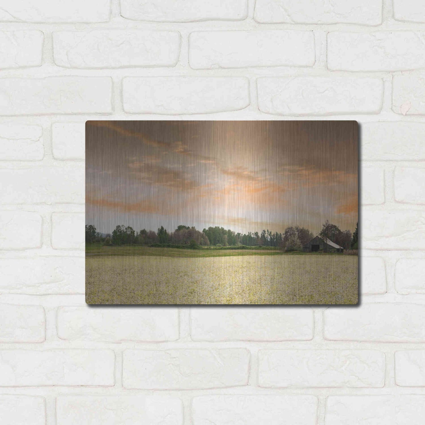 Luxe Metal Art  'Barn In The Field Of Spring Flowers'  by Don Schwartz, Metal Wall Art,16x12