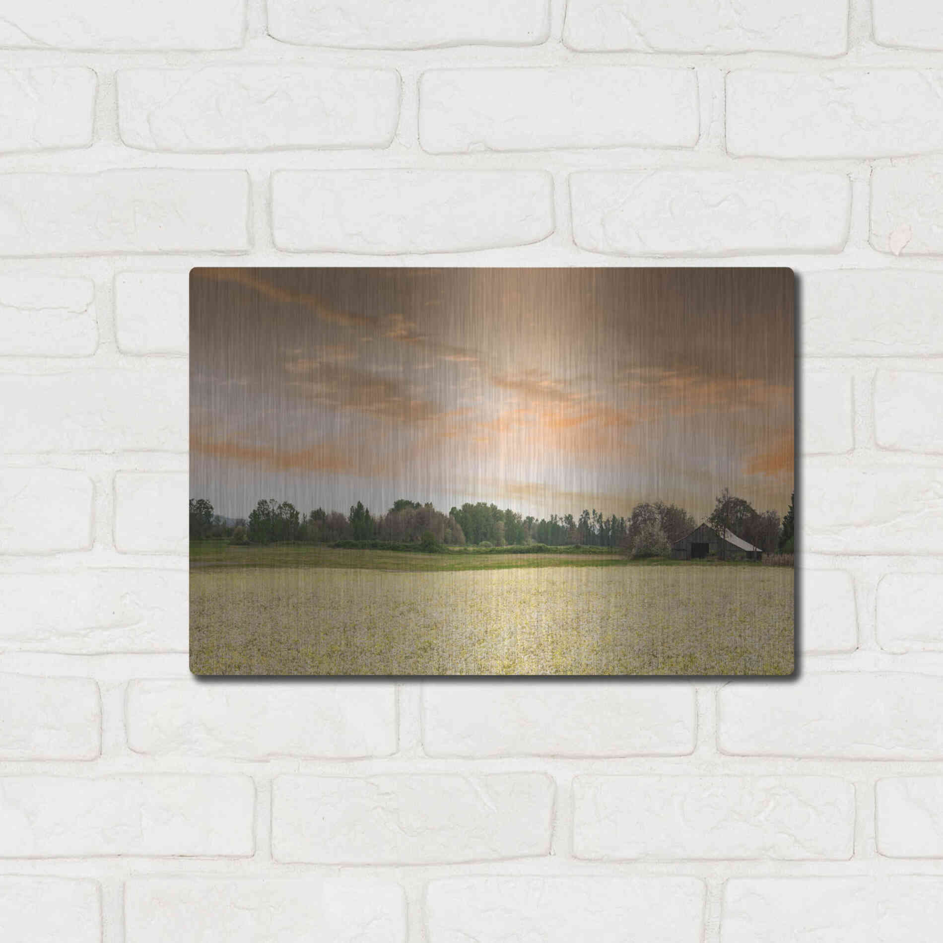 Luxe Metal Art  'Barn In The Field Of Spring Flowers'  by Don Schwartz, Metal Wall Art,16x12