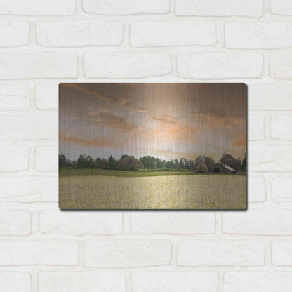 Luxe Metal Art  'Barn In The Field Of Spring Flowers'  by Don Schwartz, Metal Wall Art,16x12