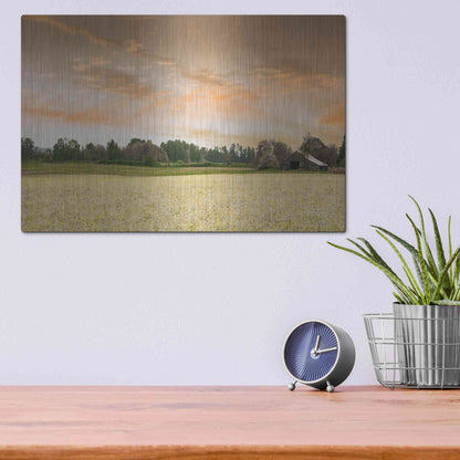 Luxe Metal Art  'Barn In The Field Of Spring Flowers'  by Don Schwartz, Metal Wall Art,16x12