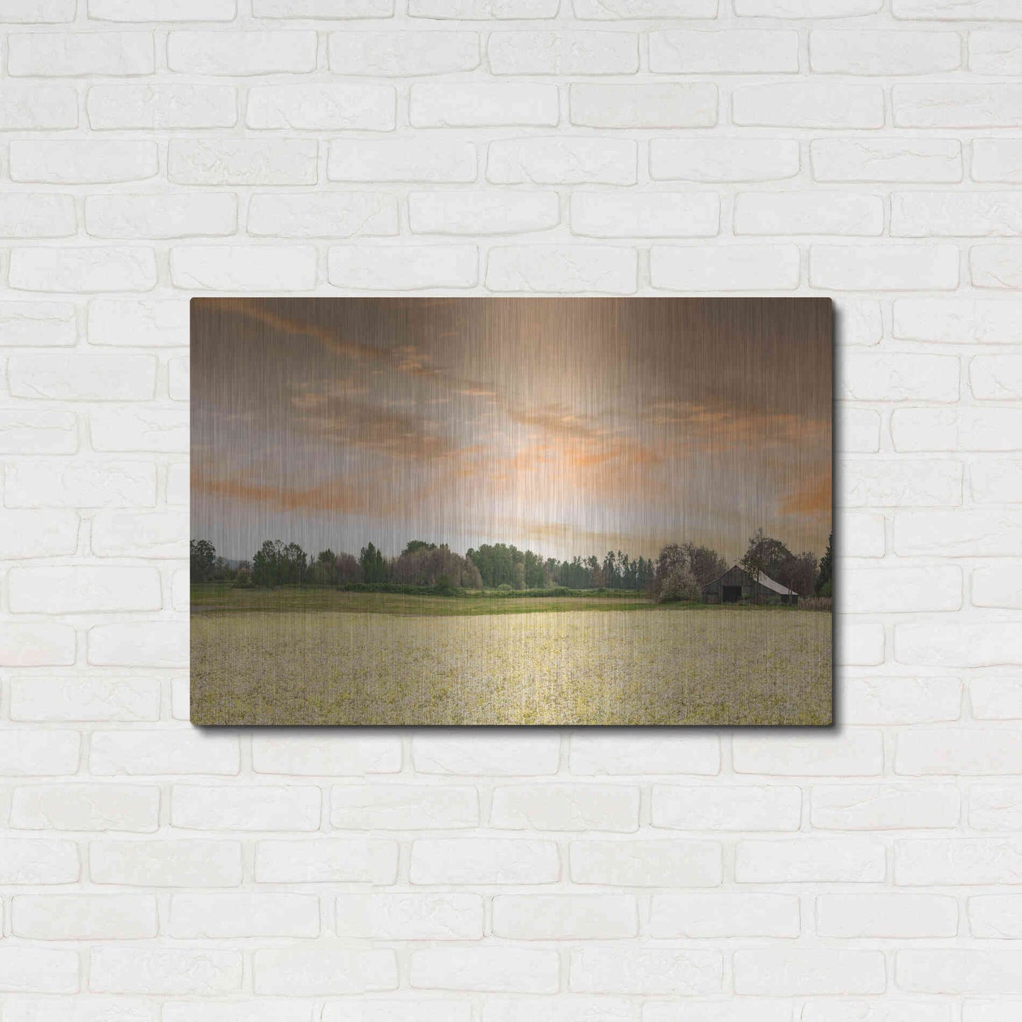 Luxe Metal Art  'Barn In The Field Of Spring Flowers'  by Don Schwartz, Metal Wall Art,36x24