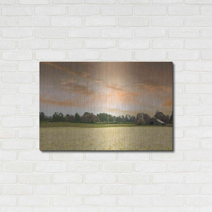 Luxe Metal Art  'Barn In The Field Of Spring Flowers'  by Don Schwartz, Metal Wall Art,36x24