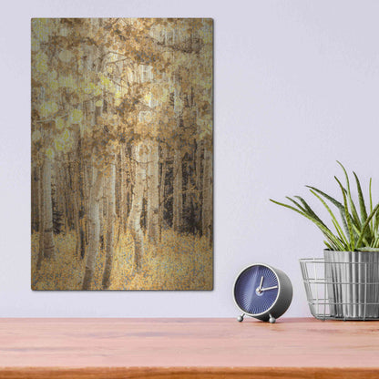 Luxe Metal Art  'Aspens In Late Autumn'  by Don Schwartz, Metal Wall Art,12x16
