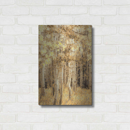 Luxe Metal Art  'Aspens In Late Autumn'  by Don Schwartz, Metal Wall Art,16x24