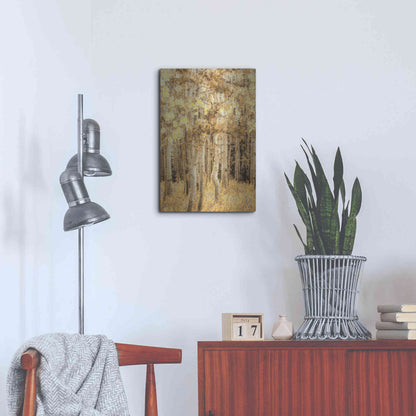 Luxe Metal Art  'Aspens In Late Autumn'  by Don Schwartz, Metal Wall Art,16x24