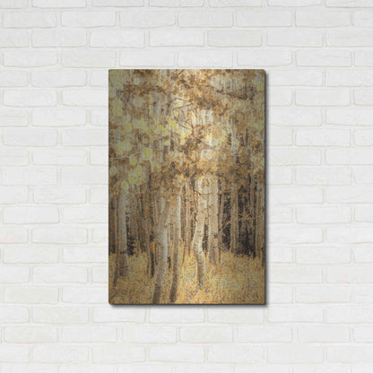 Luxe Metal Art  'Aspens In Late Autumn'  by Don Schwartz, Metal Wall Art,24x36