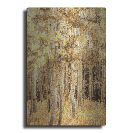 Luxe Metal Art  'Aspens In Late Autumn'  by Don Schwartz, Metal Wall Art