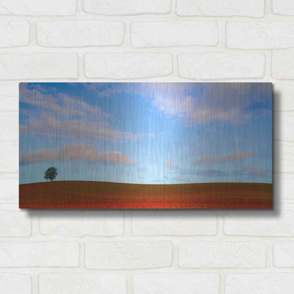 Luxe Metal Art  'Rolling Hills Of Clover'  by Don Schwartz, Metal Wall Art,24x12