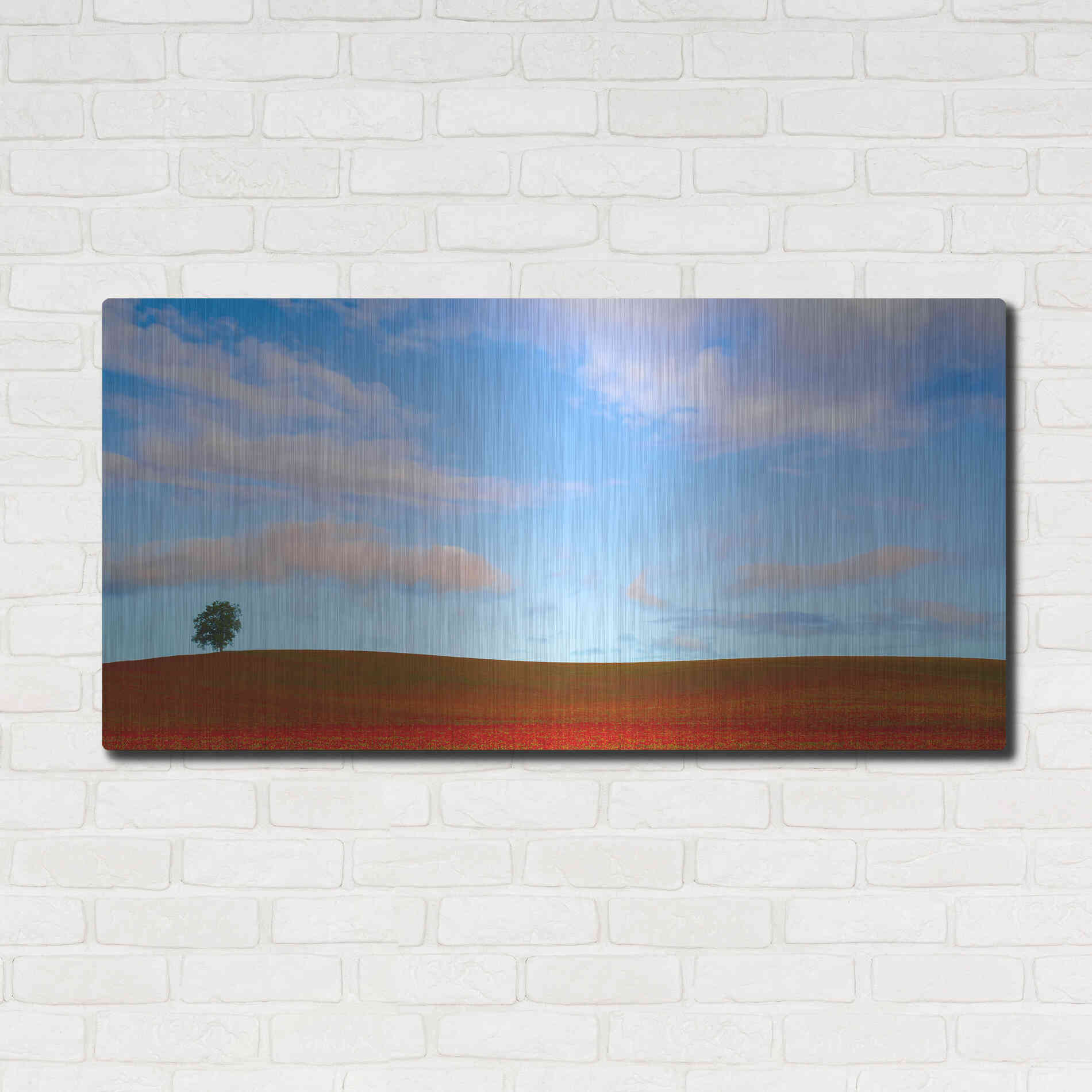 Luxe Metal Art  'Rolling Hills Of Clover'  by Don Schwartz, Metal Wall Art,48x24