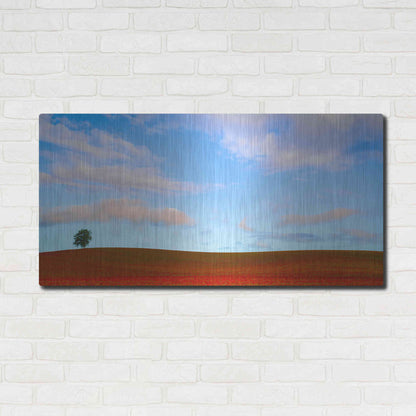 Luxe Metal Art  'Rolling Hills Of Clover'  by Don Schwartz, Metal Wall Art,48x24