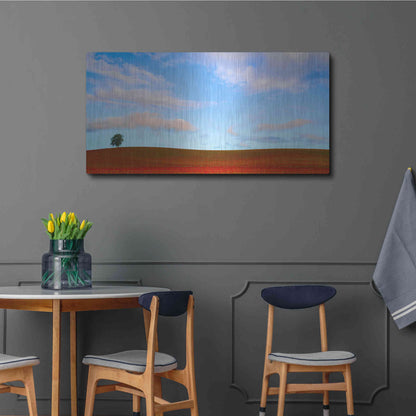 Luxe Metal Art  'Rolling Hills Of Clover'  by Don Schwartz, Metal Wall Art,48x24