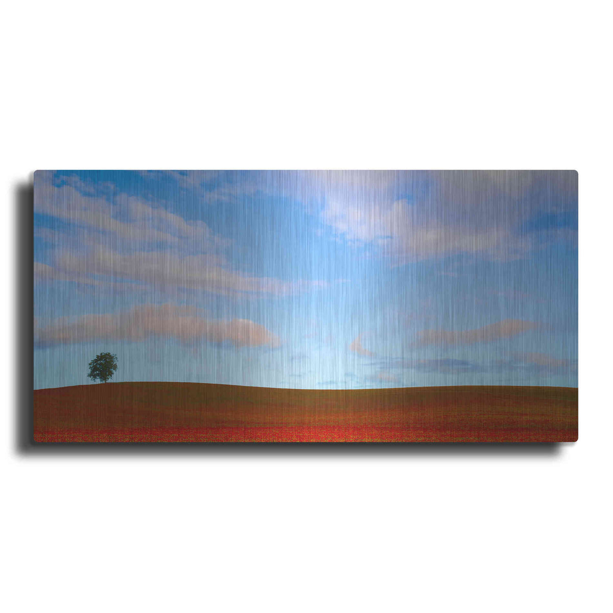 Luxe Metal Art  'Rolling Hills Of Clover'  by Don Schwartz, Metal Wall Art