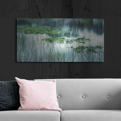Luxe Metal Art  'Lakeside In Spring'  by Don Schwartz, Metal Wall Art,48x24