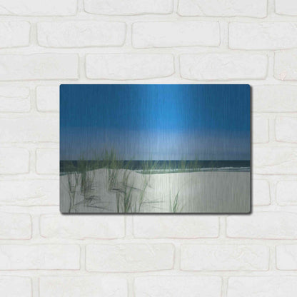 Luxe Metal Art  'Sunlit Coastal Dunes'  by Don Schwartz, Metal Wall Art,16x12