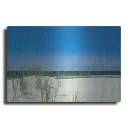 Luxe Metal Art  'Sunlit Coastal Dunes'  by Don Schwartz, Metal Wall Art