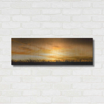 Luxe Metal Art  'Pastoral Sunrise'  by Don Schwartz, Metal Wall Art,36x12