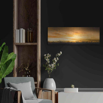 Luxe Metal Art  'Pastoral Sunrise'  by Don Schwartz, Metal Wall Art,36x12