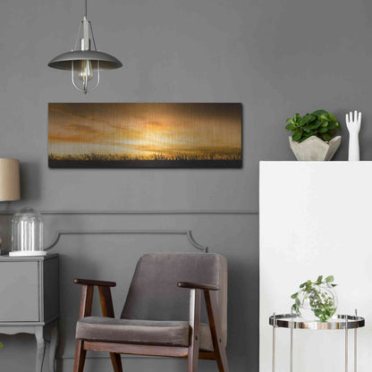 Luxe Metal Art  'Pastoral Sunrise'  by Don Schwartz, Metal Wall Art,36x12