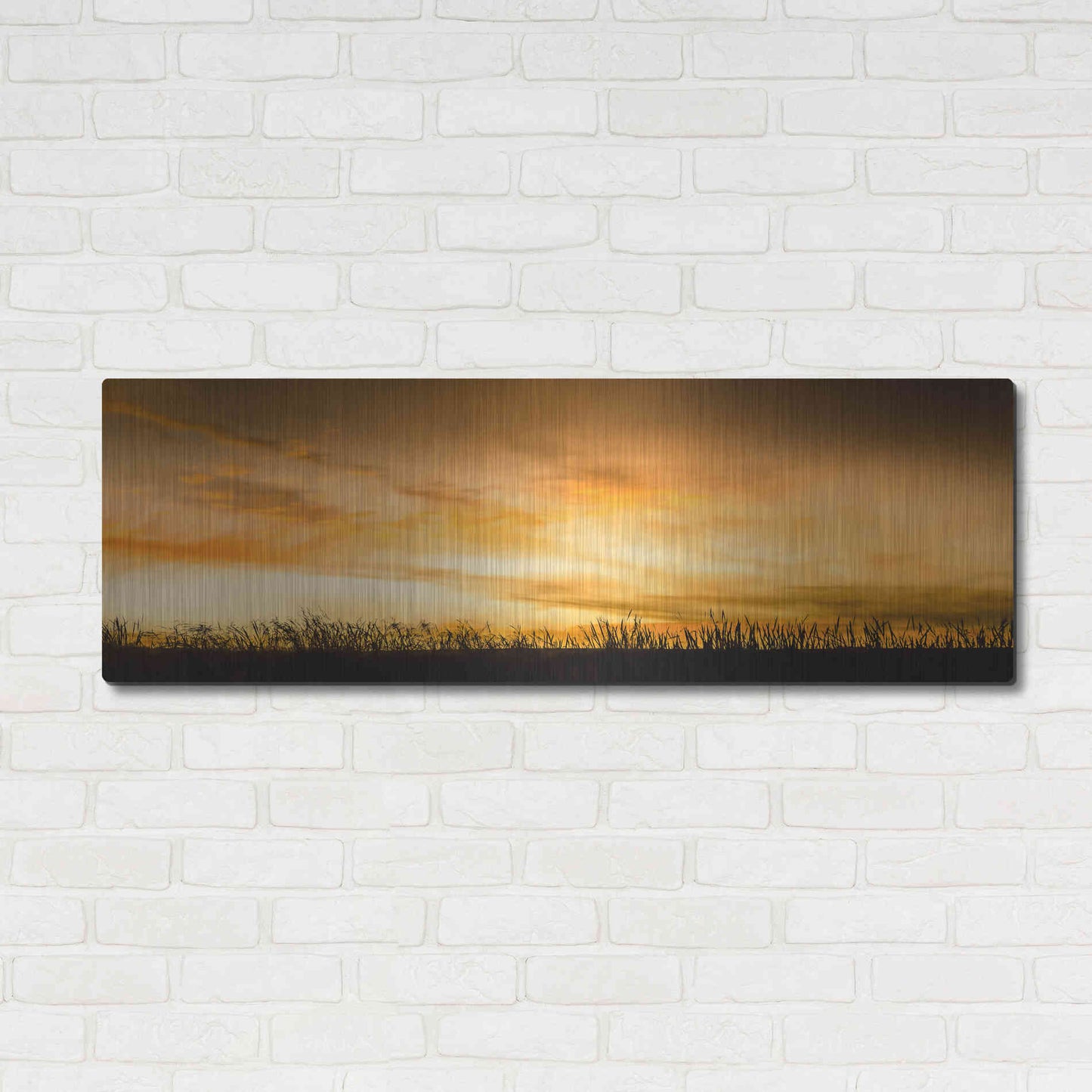 Luxe Metal Art  'Pastoral Sunrise'  by Don Schwartz, Metal Wall Art,48x16