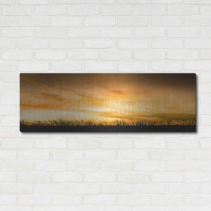 Luxe Metal Art  'Pastoral Sunrise'  by Don Schwartz, Metal Wall Art,48x16