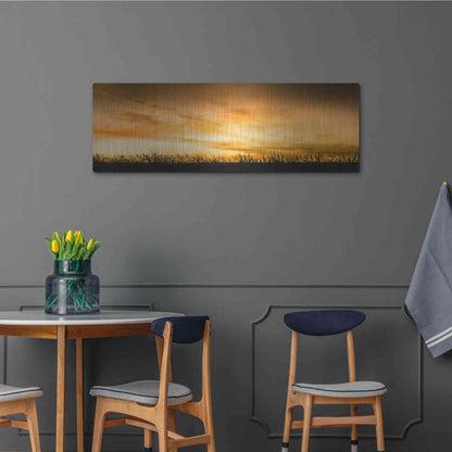 Luxe Metal Art  'Pastoral Sunrise'  by Don Schwartz, Metal Wall Art,48x16