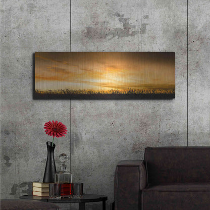 Luxe Metal Art  'Pastoral Sunrise'  by Don Schwartz, Metal Wall Art,48x16