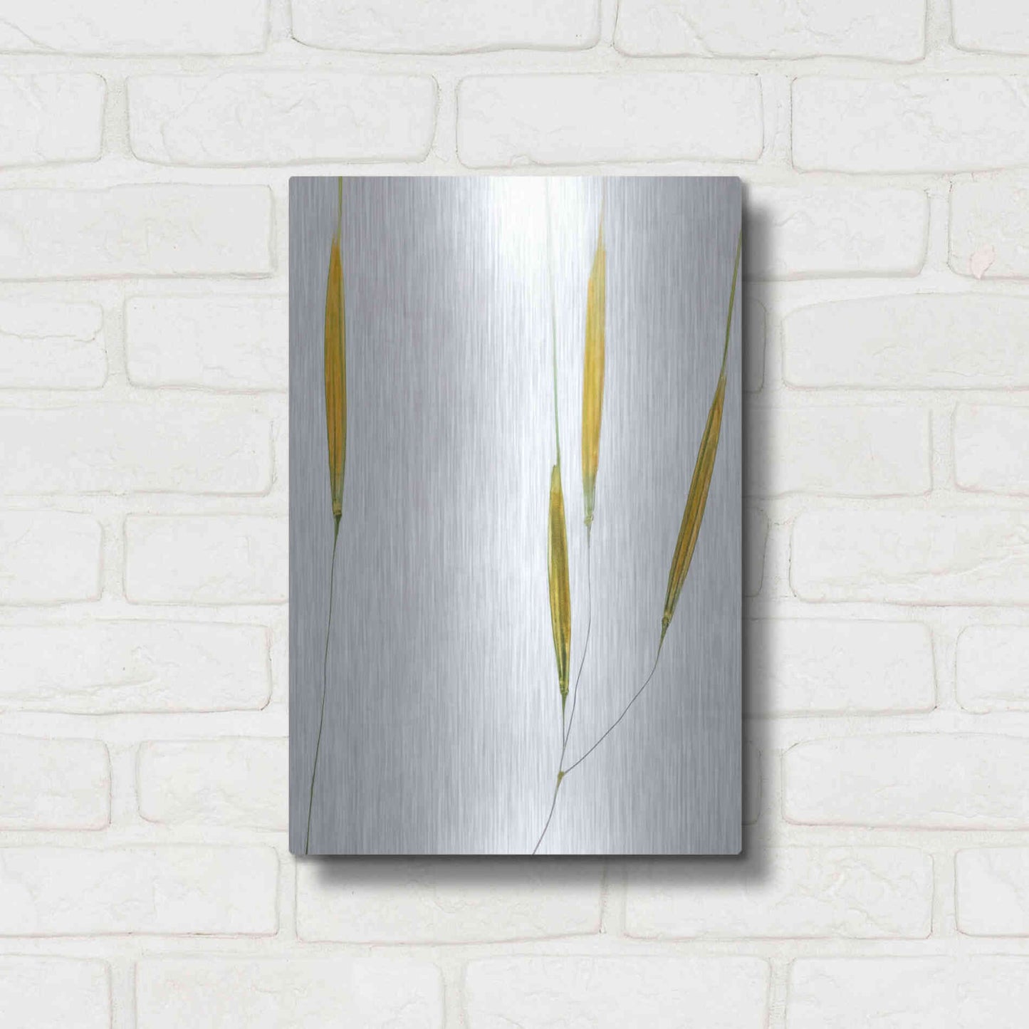 Luxe Metal Art  'Delicate Grasses'  by Don Schwartz, Metal Wall Art,12x16