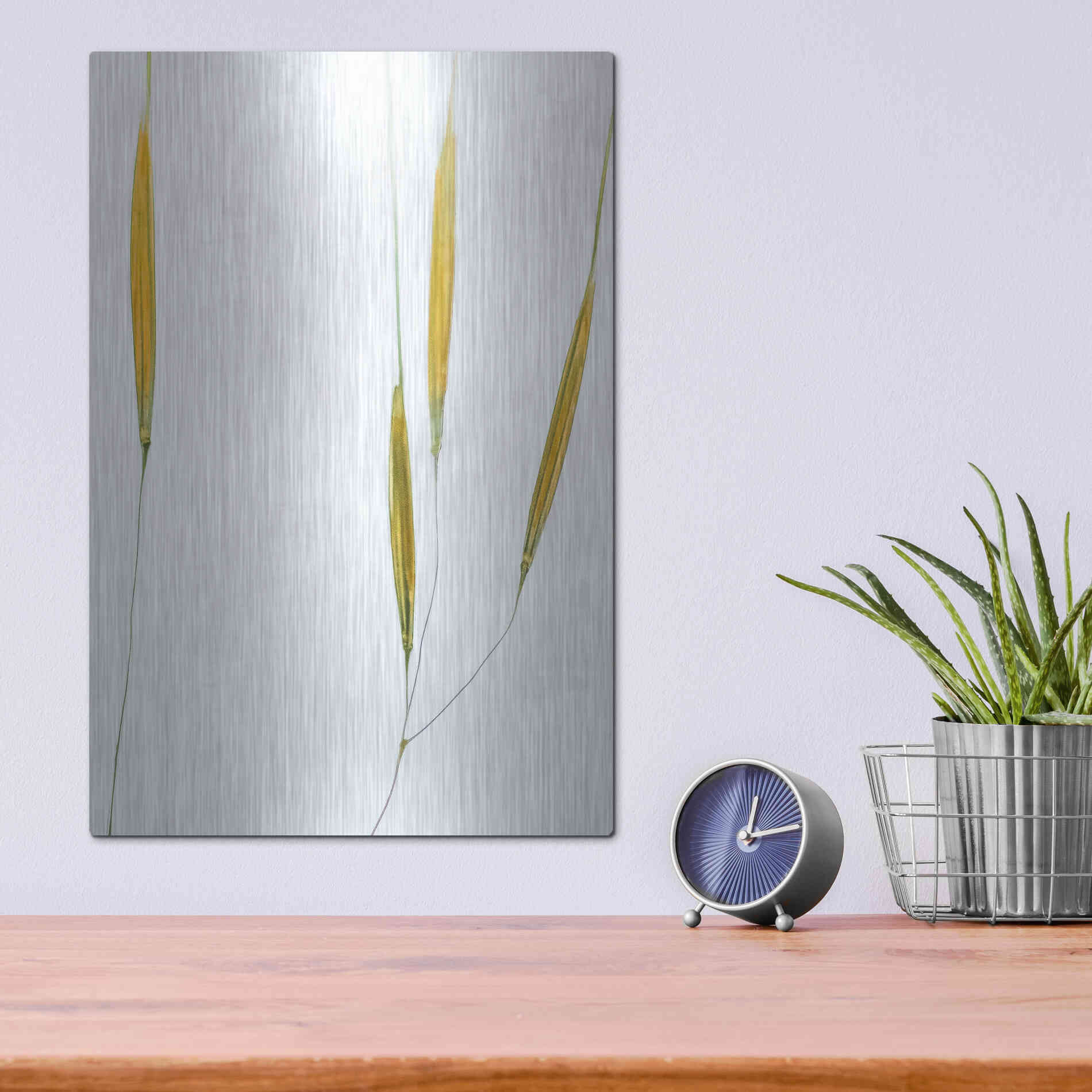 Luxe Metal Art  'Delicate Grasses'  by Don Schwartz, Metal Wall Art,12x16