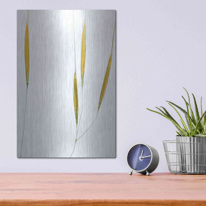 Luxe Metal Art  'Delicate Grasses'  by Don Schwartz, Metal Wall Art,12x16