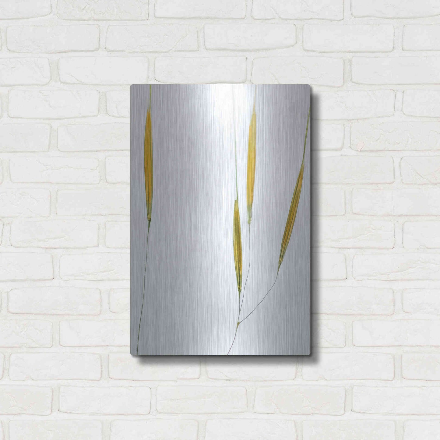 Luxe Metal Art  'Delicate Grasses'  by Don Schwartz, Metal Wall Art,16x24