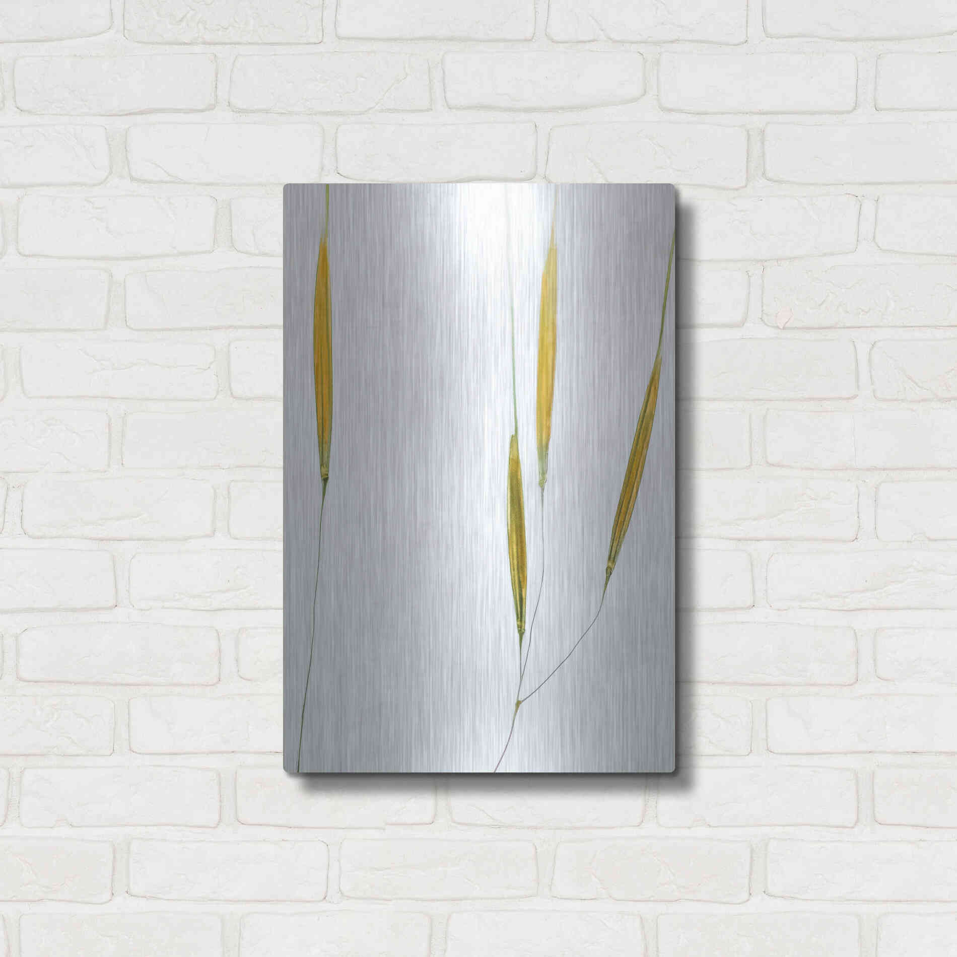 Luxe Metal Art  'Delicate Grasses'  by Don Schwartz, Metal Wall Art,16x24