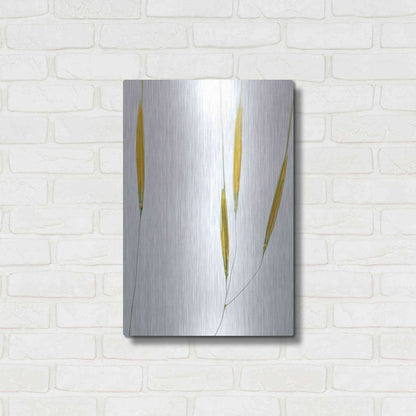 Luxe Metal Art  'Delicate Grasses'  by Don Schwartz, Metal Wall Art,16x24