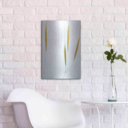 Luxe Metal Art  'Delicate Grasses'  by Don Schwartz, Metal Wall Art,16x24
