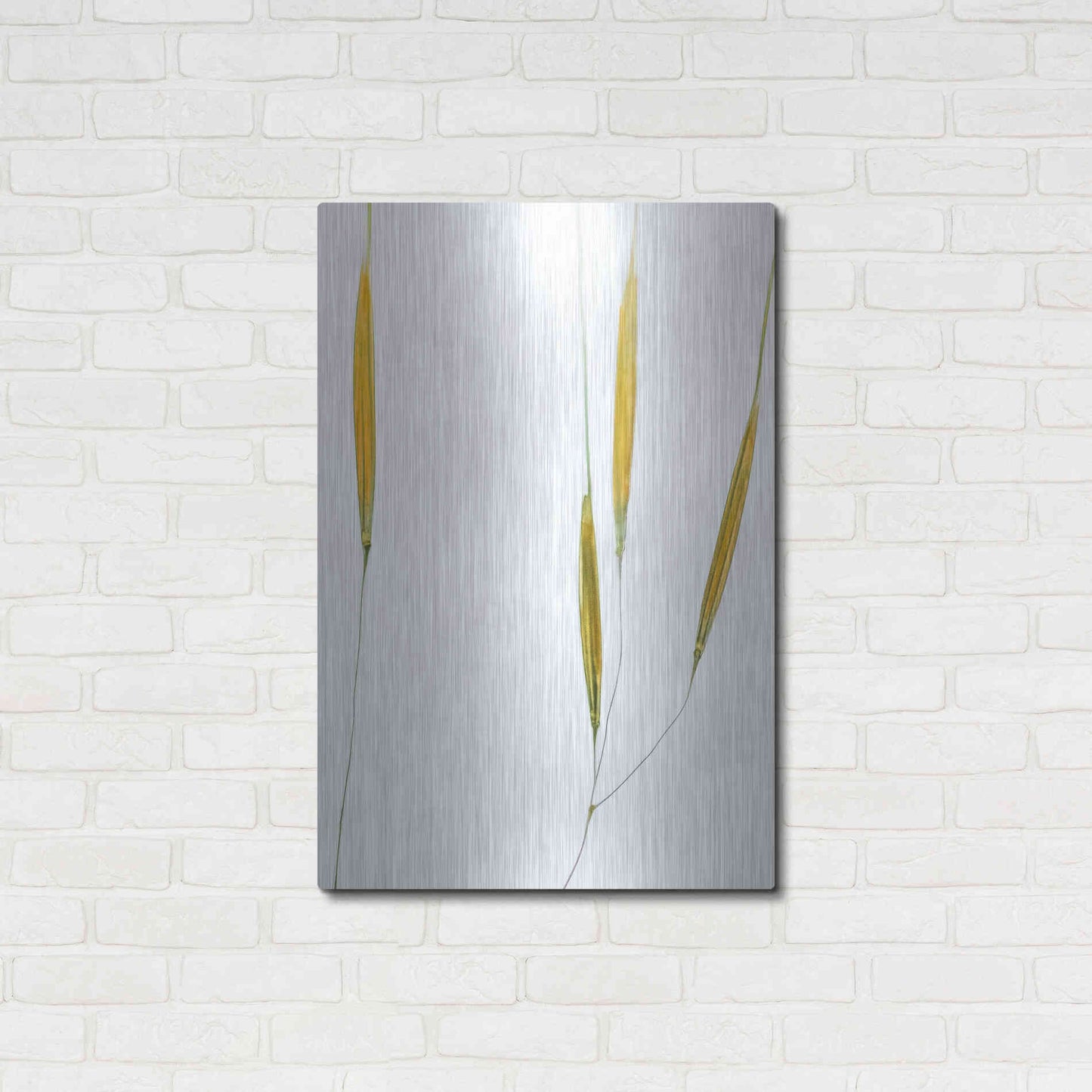 Luxe Metal Art  'Delicate Grasses'  by Don Schwartz, Metal Wall Art,24x36