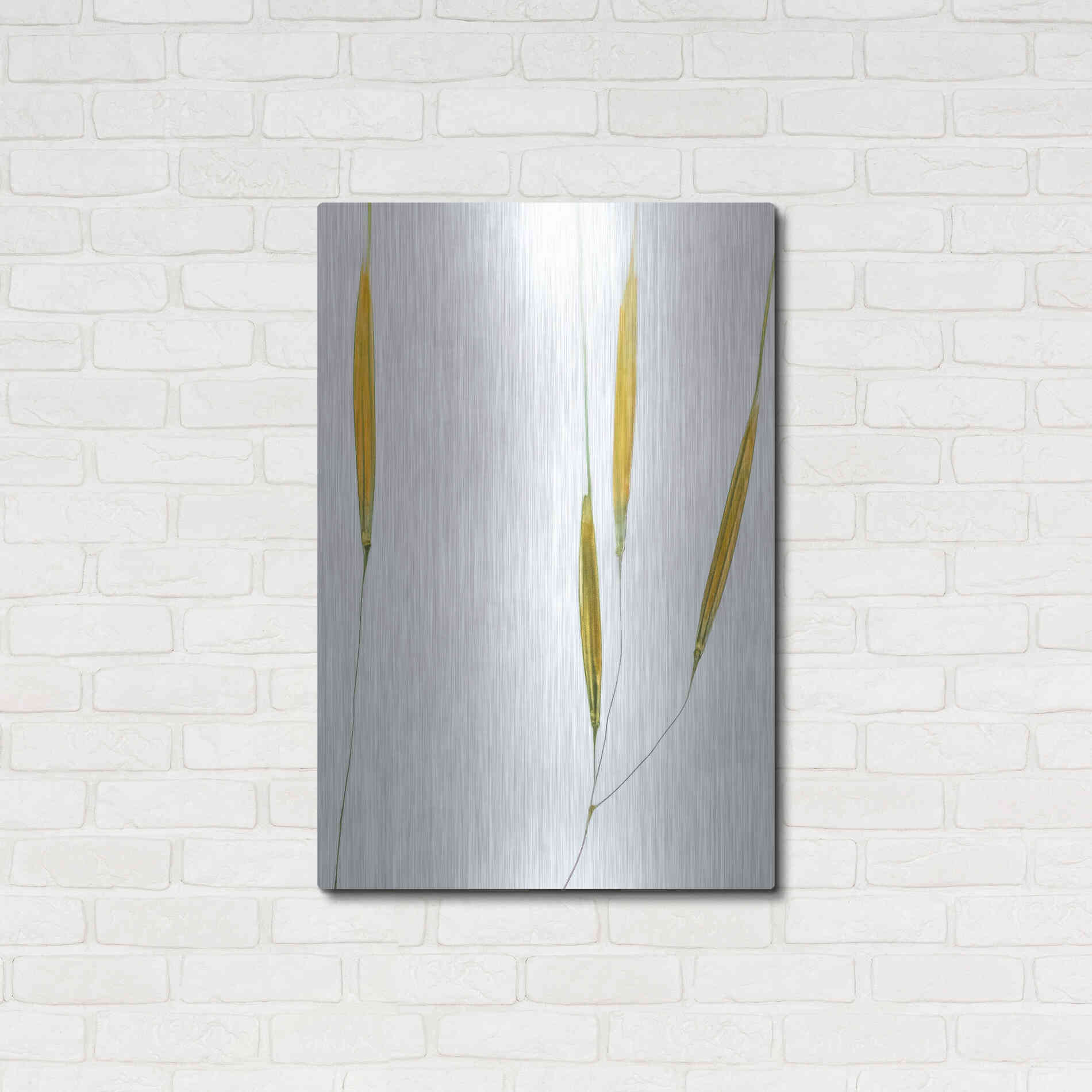 Luxe Metal Art  'Delicate Grasses'  by Don Schwartz, Metal Wall Art,24x36