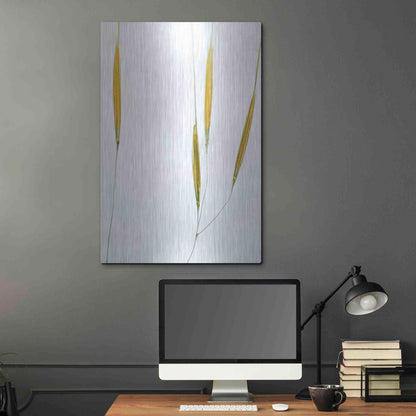Luxe Metal Art  'Delicate Grasses'  by Don Schwartz, Metal Wall Art,24x36