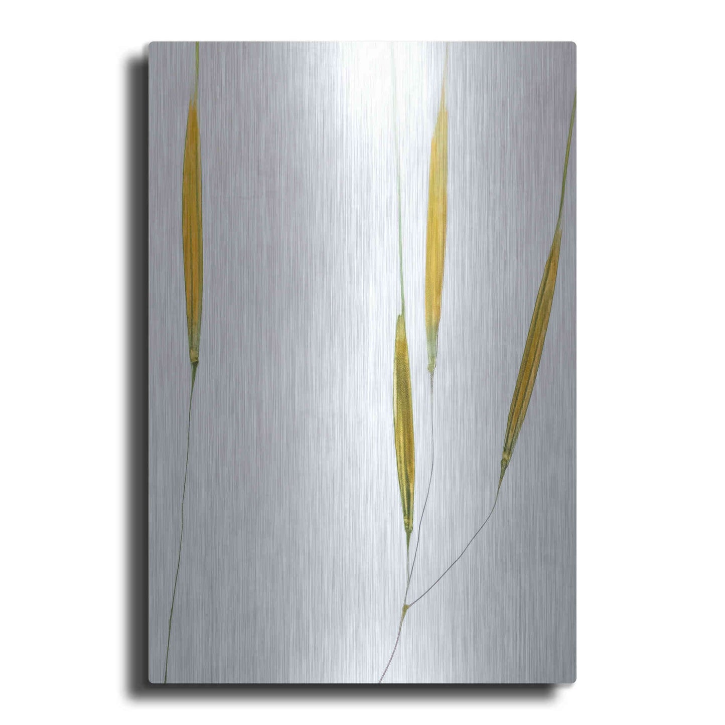Luxe Metal Art  'Delicate Grasses'  by Don Schwartz, Metal Wall Art